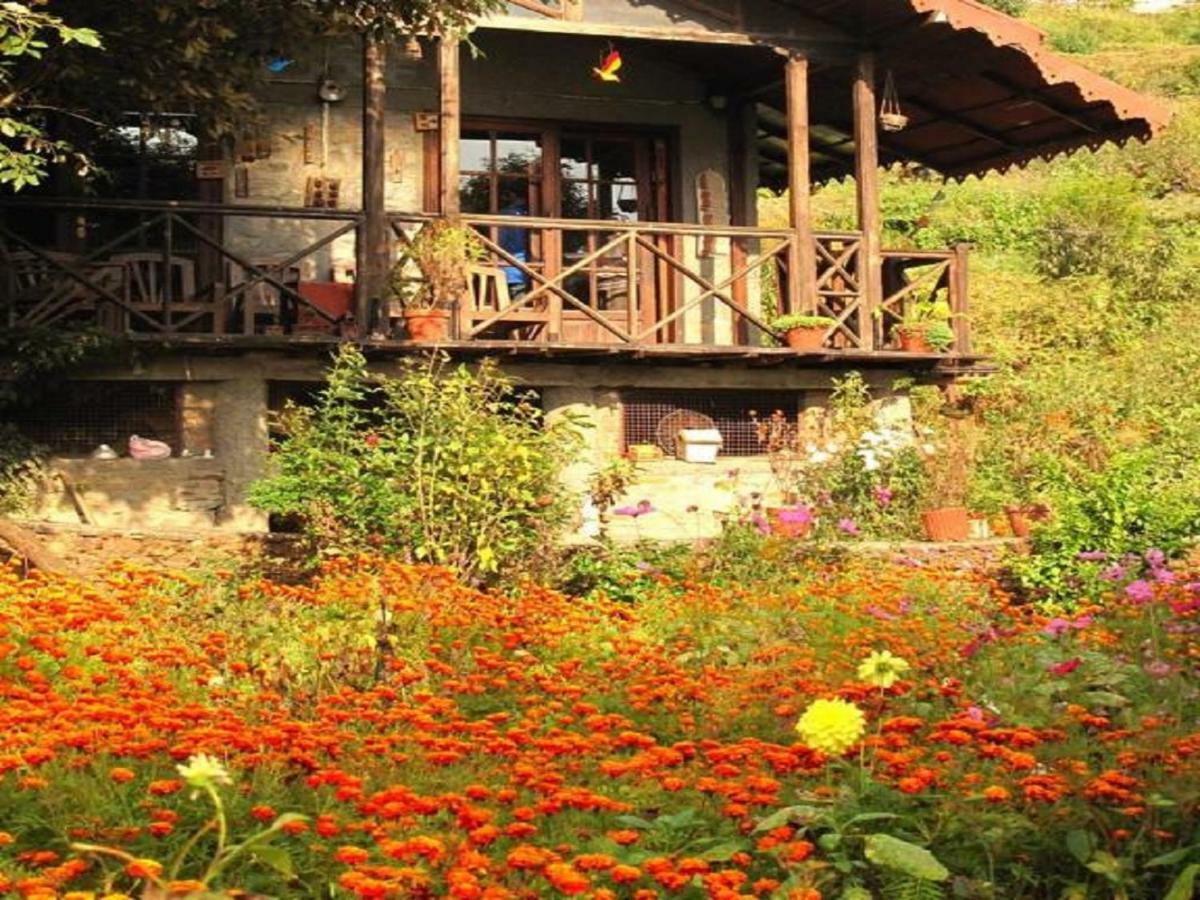 Jungle Lore Birding Lodge Nainital Exterior foto